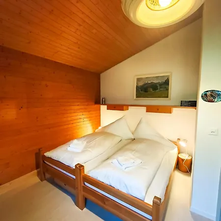 Bodmi On The - Aare Jungfrau Ag * Grindelwald