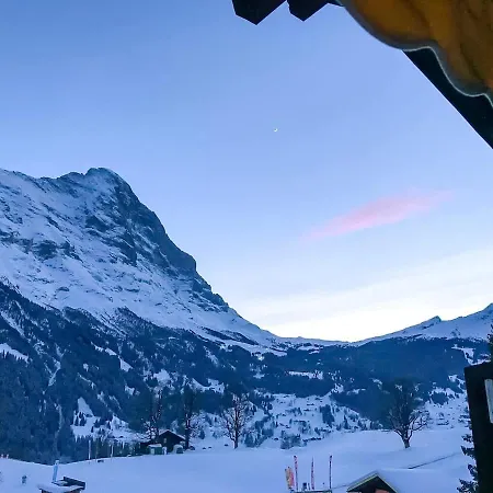 Bodmi On The - Aare Jungfrau Ag * 그린델발트