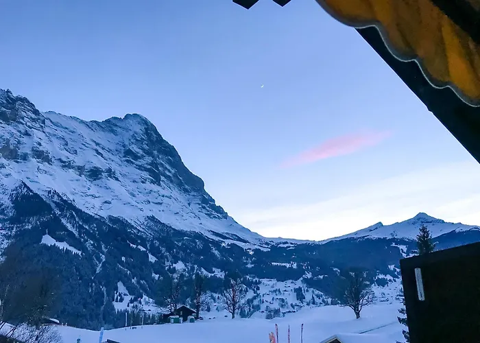 Bodmi On The - Aare Jungfrau Ag